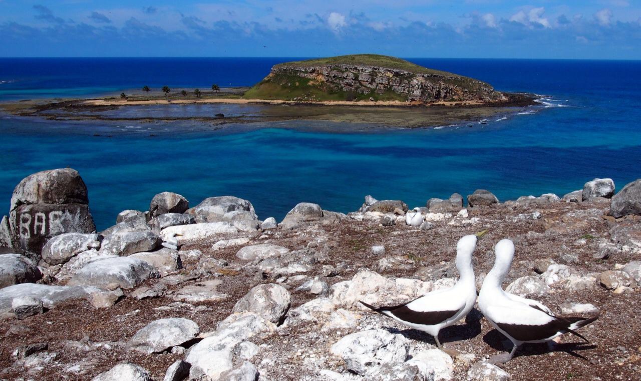 Parque Nacional Marinho de Abrolhos Apecatu Expedições