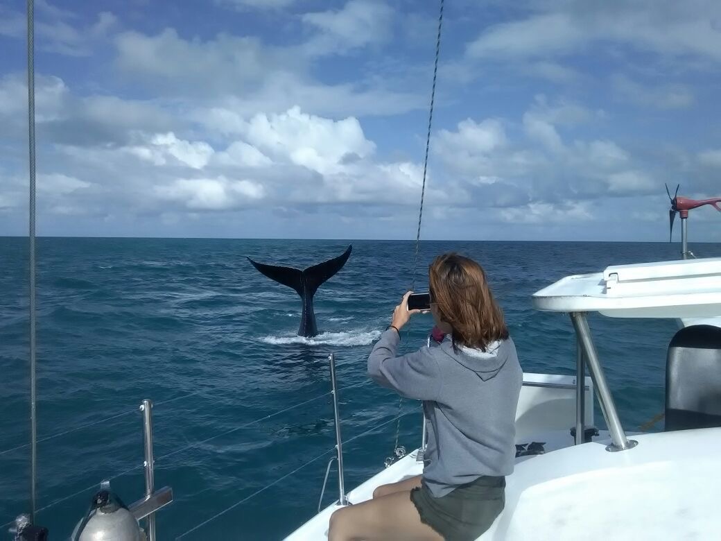Expedição Abrolhos