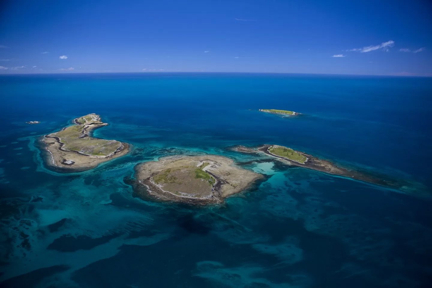 Verdadeiro Paraíso